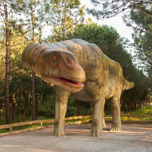 galeria-dino_03.jpg